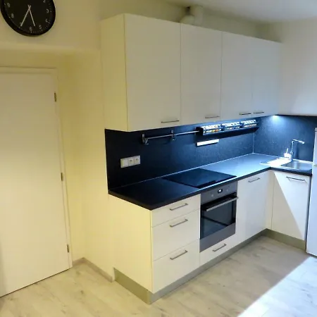 Apartman U Zimniho Stadionu - Dezinfikovano