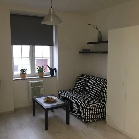 Apartman U Zimniho Stadionu - Dezinfikovano Apartment *